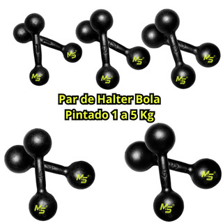 Par Halter Bola Pintado Premium - 1 a 5 Kg / Treino Musculação Peso de Academia C/ 2 Un