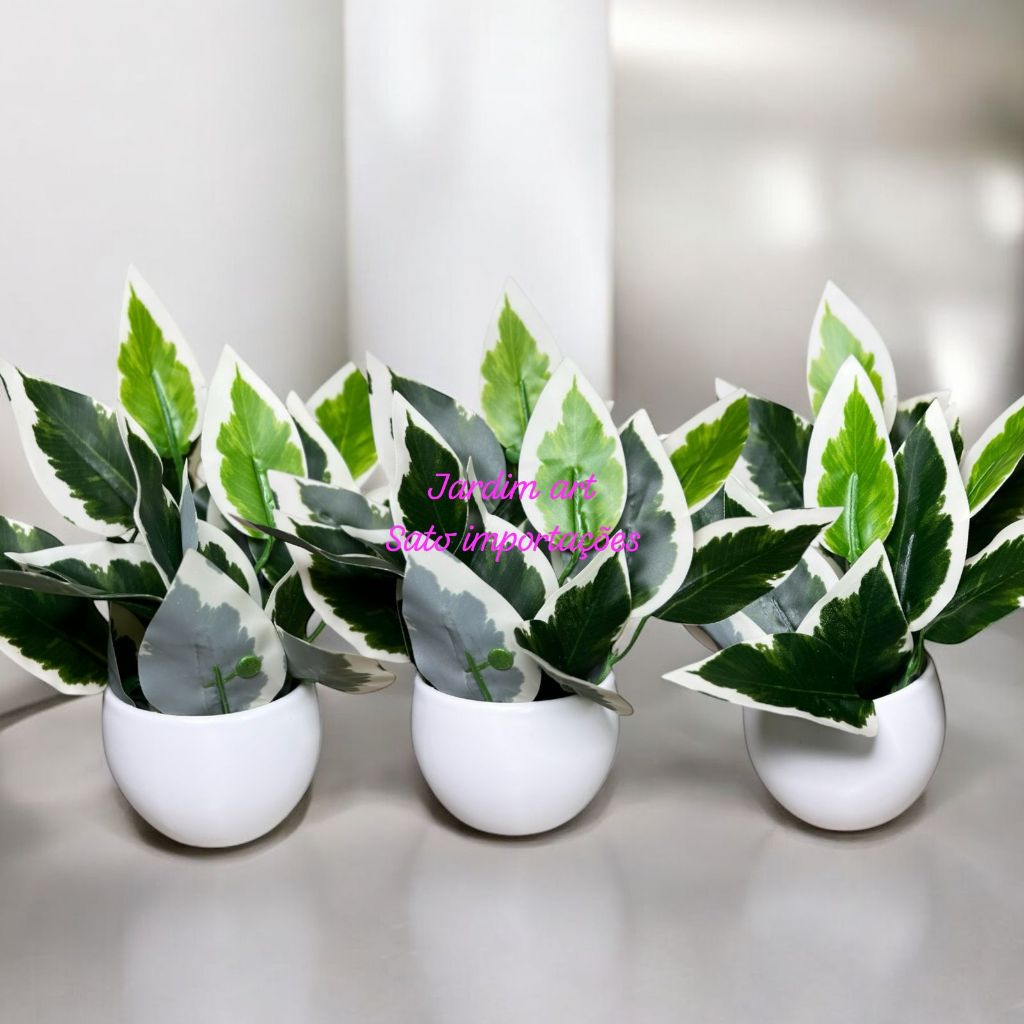 Trio de Vasos bolinha Decorativos com Folhagem Verde Ficus