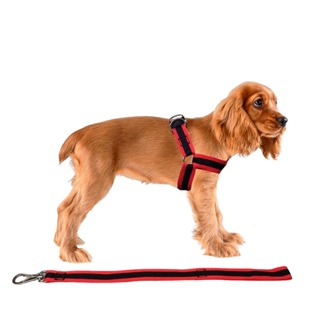 Conjunto Peitoral Com Guia Nylon Premium Americano Resistente Para Cachorro Cão Médio A Grande Porte em Oferta na Shopee