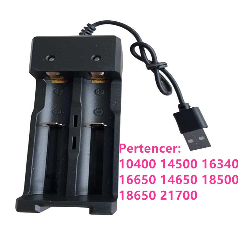 USB Carregador de 2 bateria pilha
