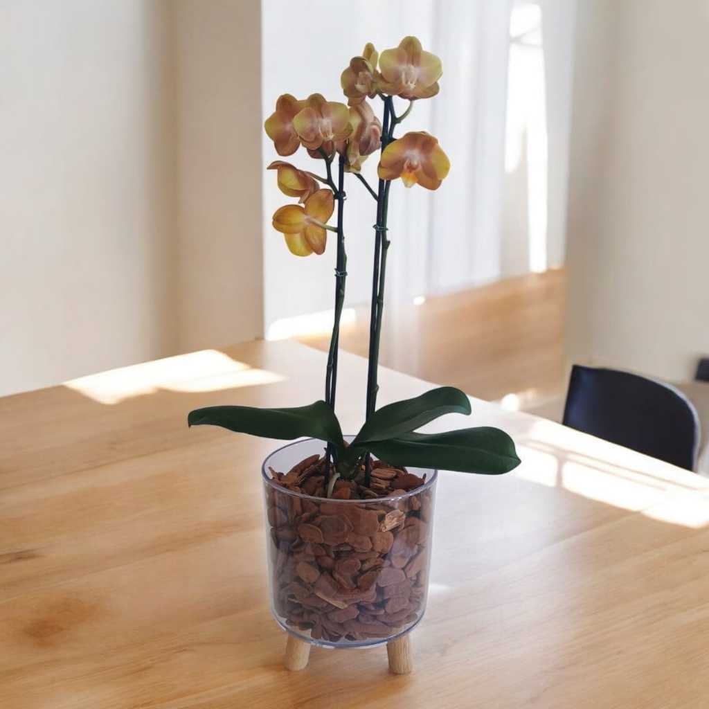 Vaso Cachepot Plástico Transparente Com Pés De Madeira 15x19cm Acrílico Para Orquídeas e Pequenos Vasos