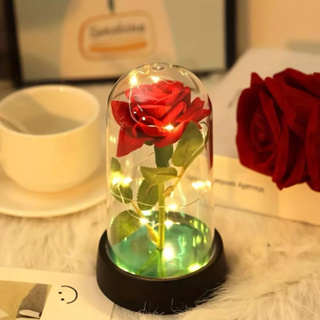 Presente de Natal Flor Rosa Eterna LED Pequeno Príncipe Bela e a Fera Cúpula Para Presente 9453 em Oferta na Shopee
