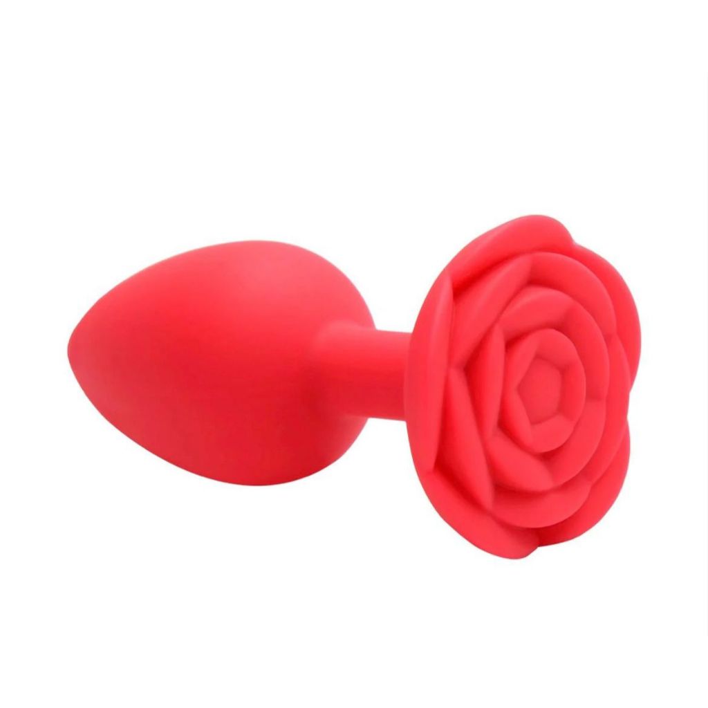 Plug Anal Silicone: Onde Comprar | BuscaProdutos
