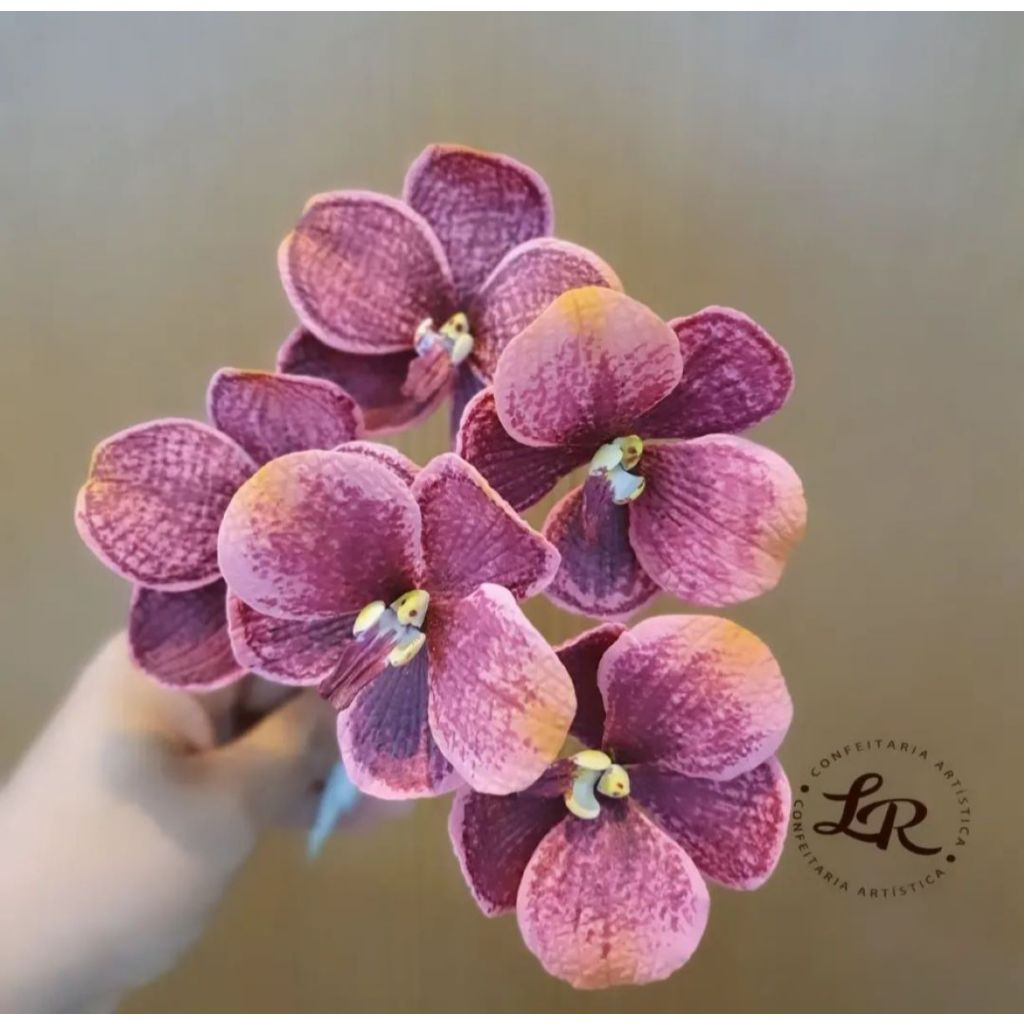 KIT CORTADOR E FRISADOR ORQUIDEA VANDA