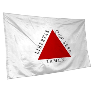 Bandeira de Minas Gerais 145cm x 90cm com Ilhós Grande em Oferta na Shopee