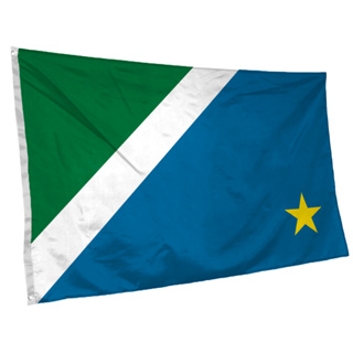 Bandeira do Mato Grosso do Sul 145cm x 90cm com Ilhós Grande em Oferta na Shopee