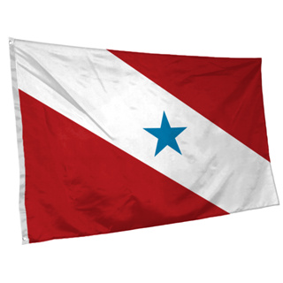 Bandeira do Pará 145cm x 90cm com Ilhós Grande em Oferta na Shopee
