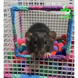 Piscina de Bolinha Bordada Artesanal Para Rato Twister Hamster Roedores Feito a Mão em Oferta na Shopee