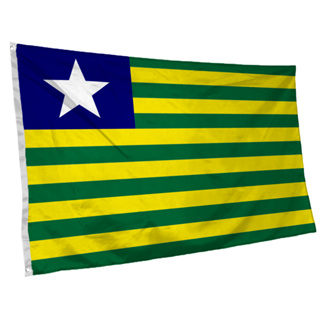Bandeira do Piauí 145cm x 90cm com Ilhós Grande em Oferta na Shopee