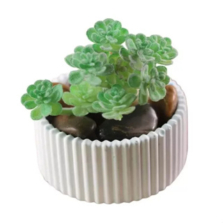 kit com 15 unid; vasinhos de gesso Branco listrado para lembrancinhas de eventos velas ou suculentas em Oferta na Shopee