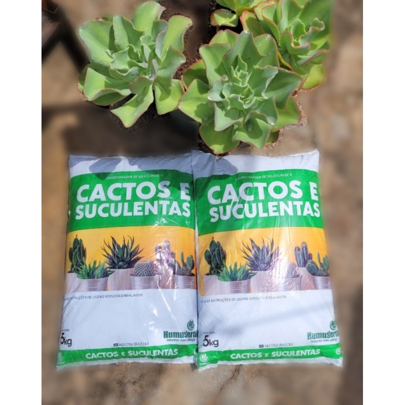 Substrato Cactos e Suculentas Humusfértil 10 KG
