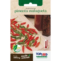 Semente de Pimenta Malagueta 1 envelope