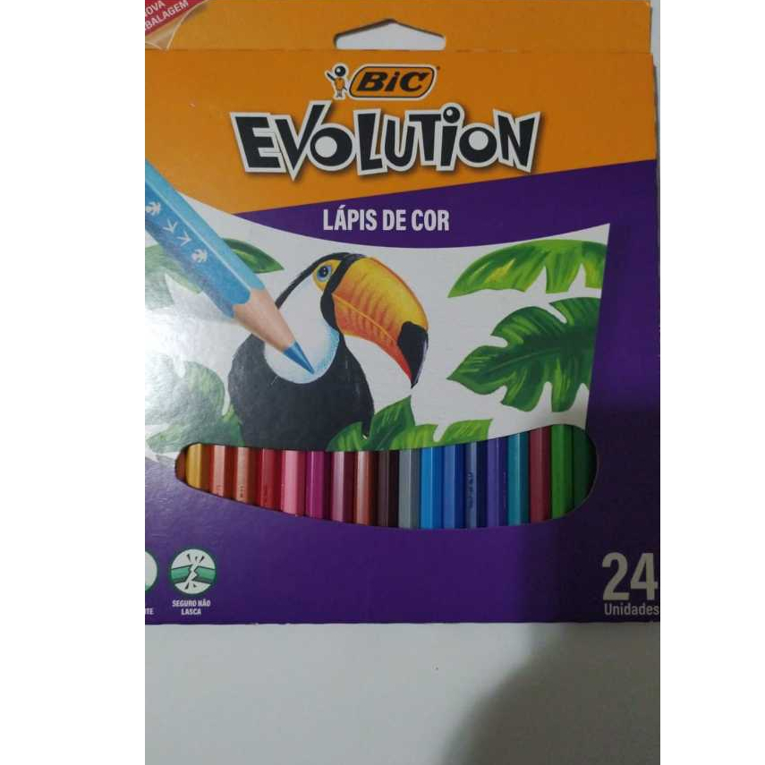 BIC EVOLUTION LÁPIS DE COR 24 UNIDADE