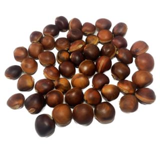 Kit 100 Sementes Olho De Boi Amuleto Natural Sem Furo Mucunã Umbanda/Candomblé em Oferta na Shopee