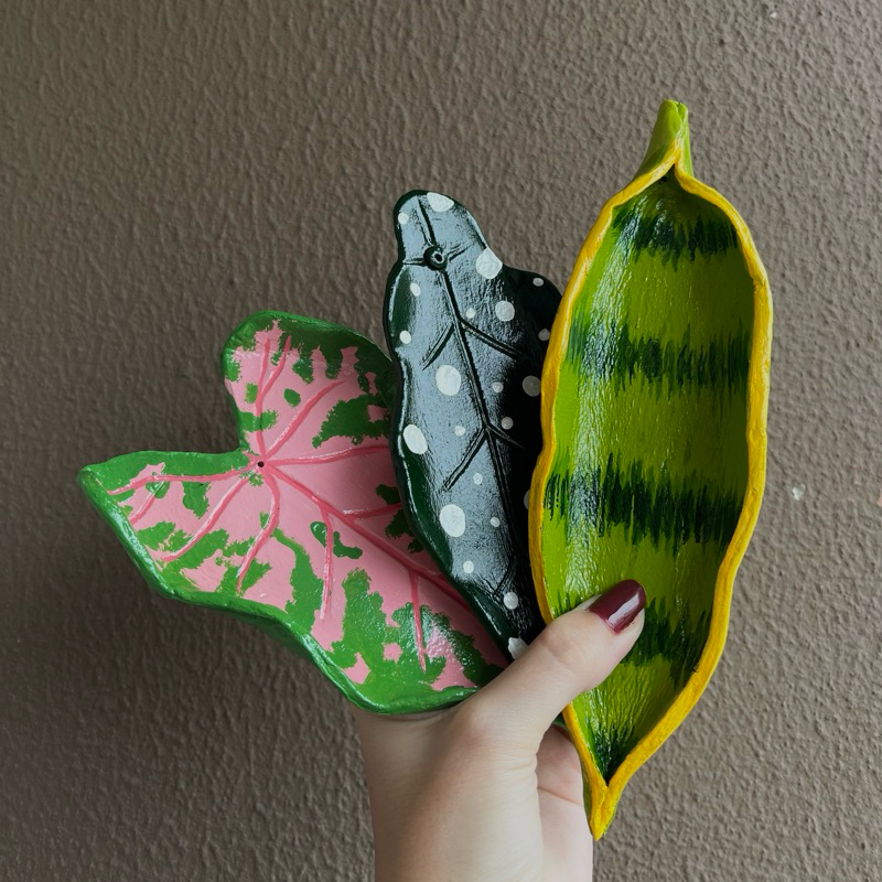 Aglaonema Planta: Onde Comprar | BuscaProdutos