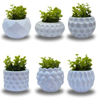 Conjunto decorativo com 6 vasos incluso planta artificial para decoração sala quarto banhe...