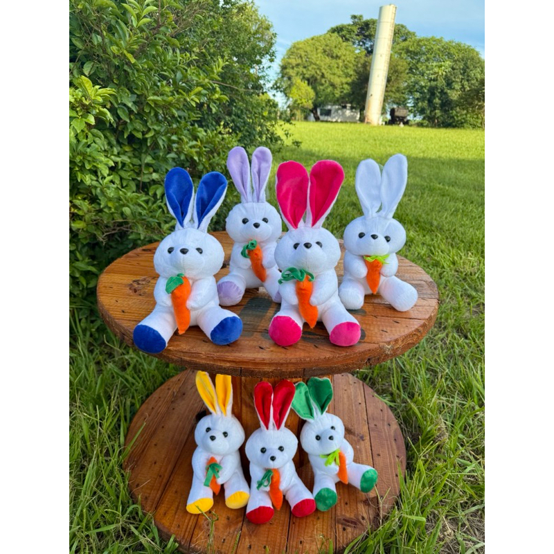 Coelhinho da Páscoa ,Coelhinho de Pelúcia Antialérgico 30 centímetros,detalhe cenoura, varias cores em Oferta na Shopee