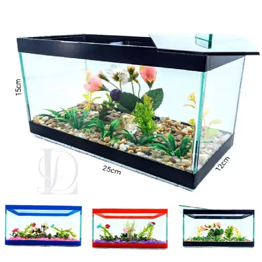 Aquário 25x12x15 Decorado Retangular Beteira Peixes Plantas