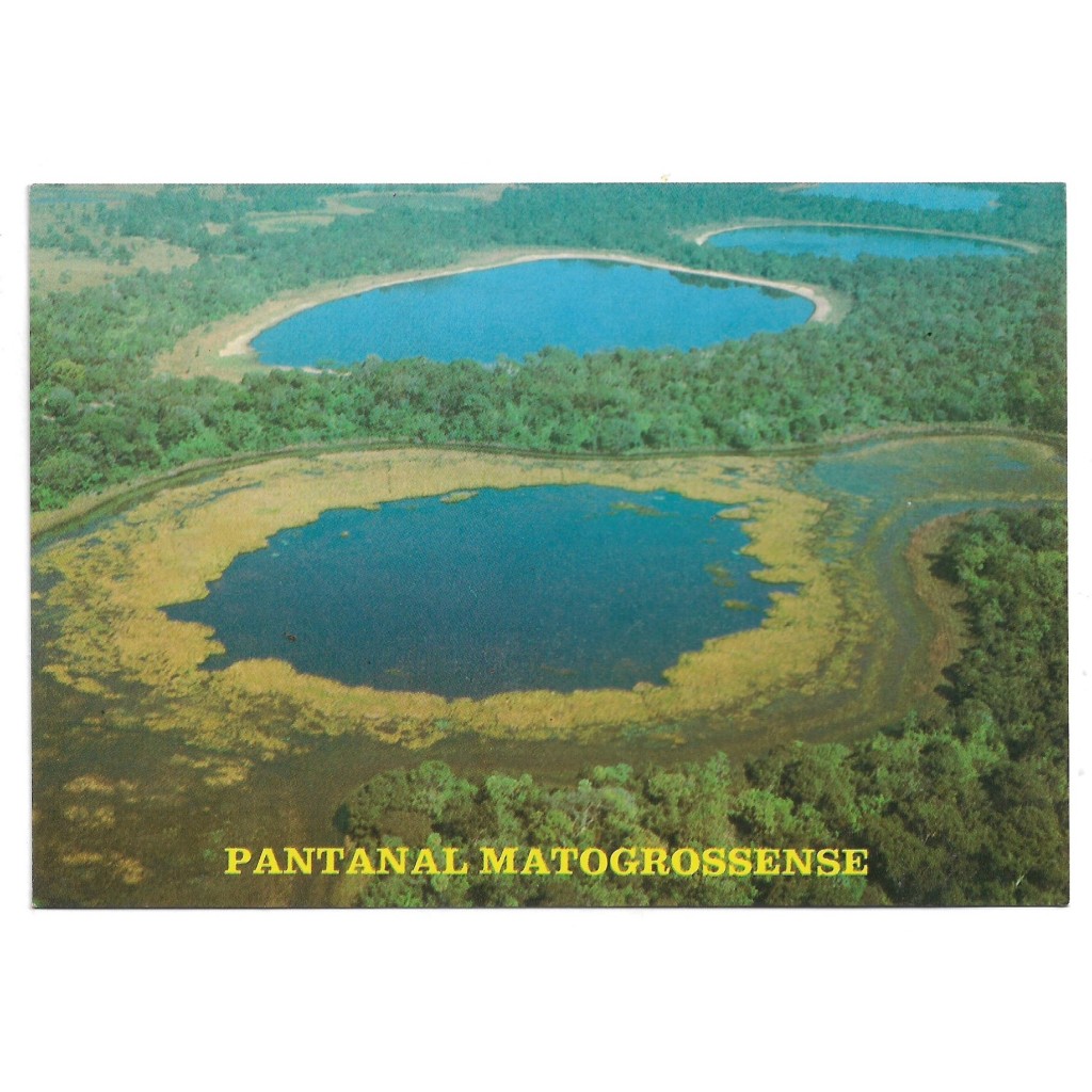 Cartão Postal Pantanal Matogrossense  -Anos 80 - cód. 56