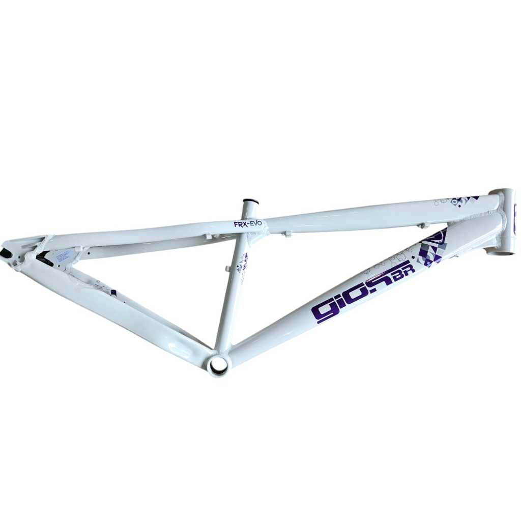 Quadro Gios Frx Evo Aro 26 Wheeling Urbano Grau Dirt Branco