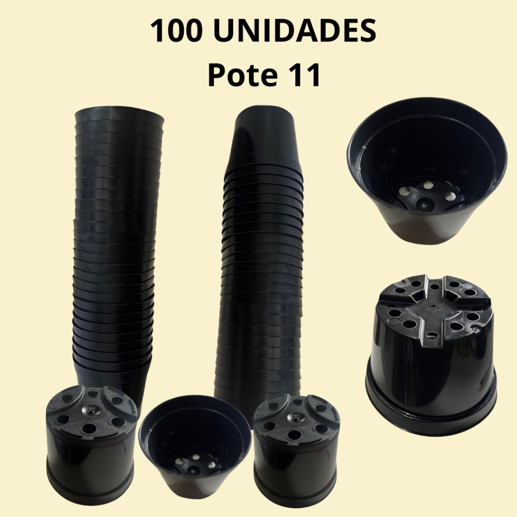 O que é Pote 11 para Suculentas? Guia e Onde Comprar | BuscaProdutos