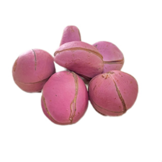 Obi Africano Para Rituais Feituras 5 Unidades Umbanda Candomblé em Oferta na Shopee