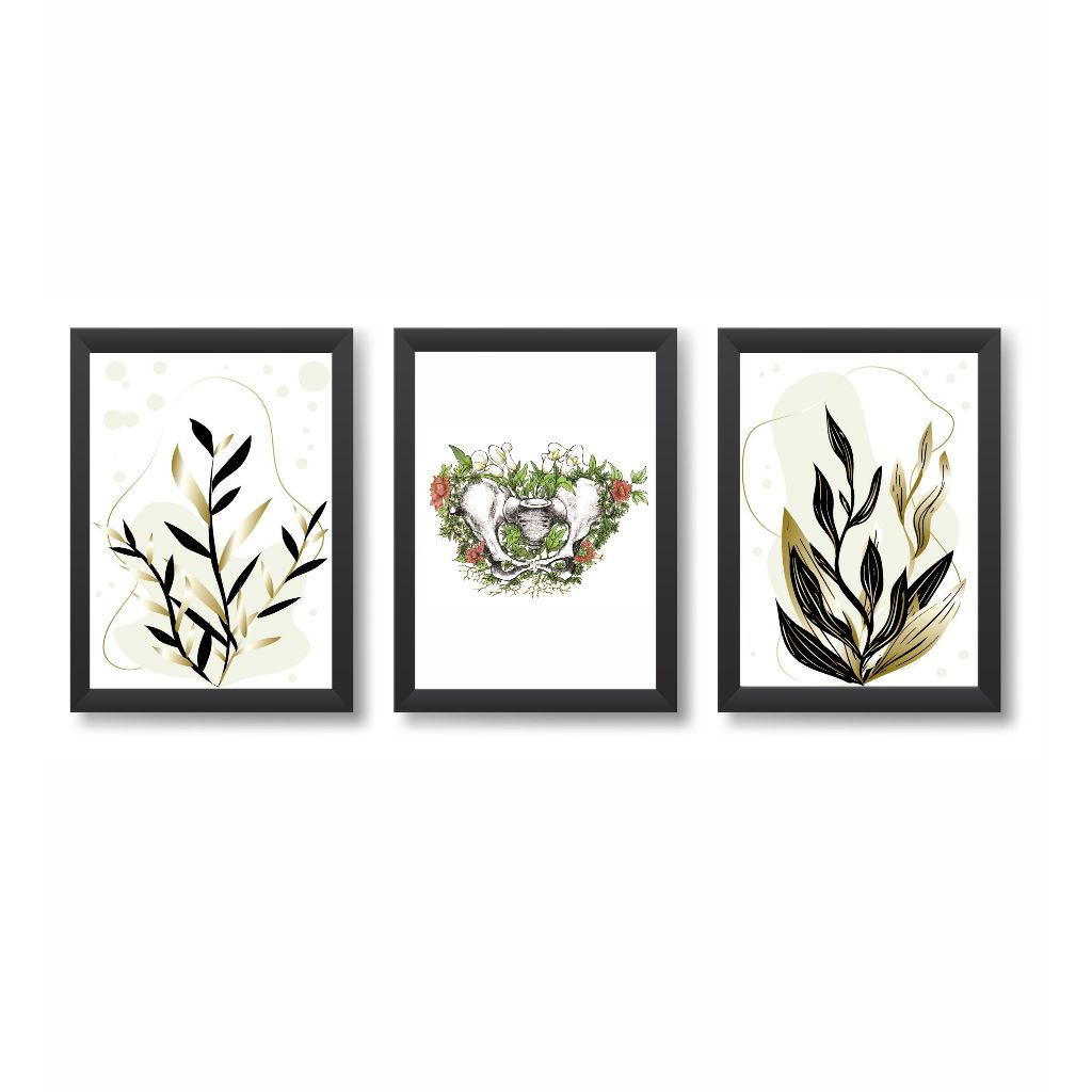Kit 3 Quadros Decorativos Pelve Ginecologia Medicina Moldura 20x30cm Madeira Vidro Cor Preta