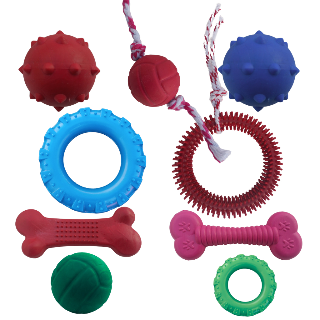 Kit c/ 5 Brinquedos Pet para Cachorros de Pequeno Porte Ossinhos Bolinhas Pet