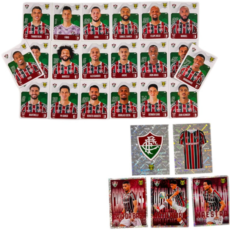 Figurinhas Fluminense Brasileiro 2024 Time completo  25 figurinhas  originais Panini