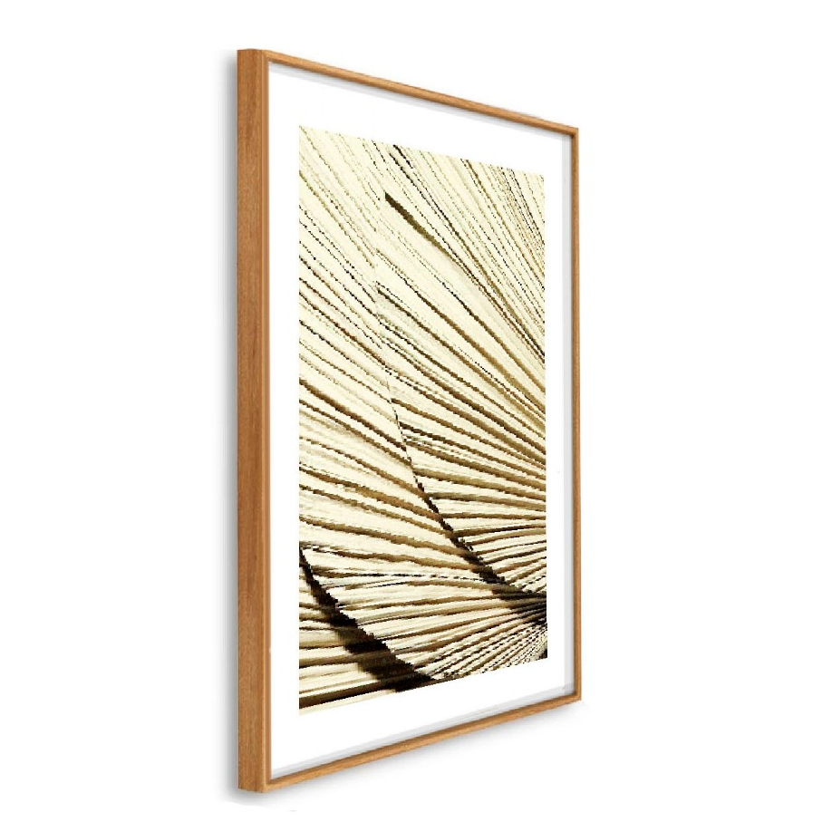 quadro decorativo moldura caixa alta grande 41x61 cm Art pétala de folha palmeira seca