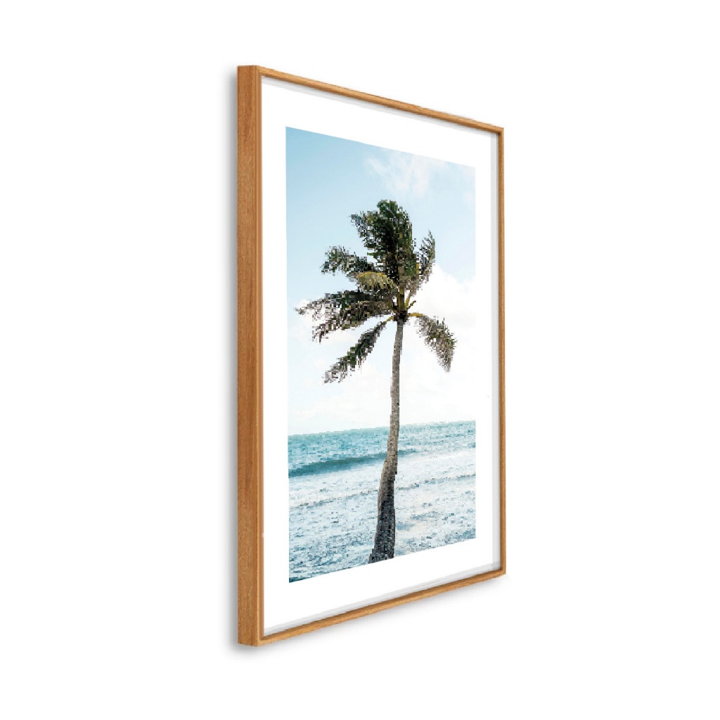 Quadro Decorativo Grande 41x61x3.5 cm Moldura Caixa Alta coqueiro