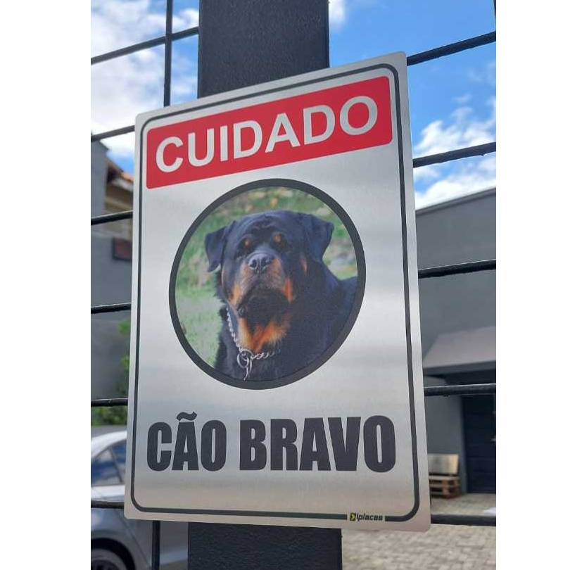 Cão Pastor Belga: Onde Comprar | BuscaProdutos