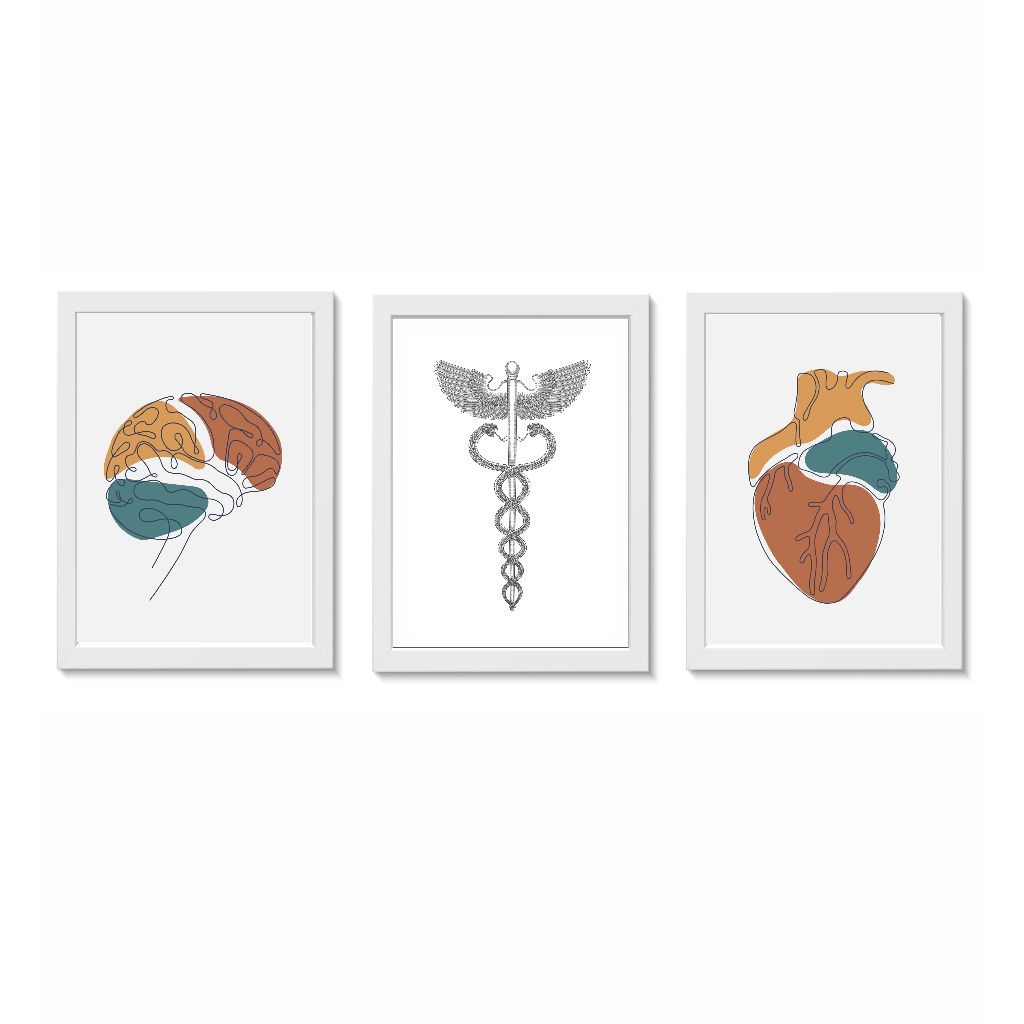 Kit 3 Quadros Decorativos Cérebro Simbolo de Medicina Coração Consultório Medicina  Molduras 20x30cm Madeira
