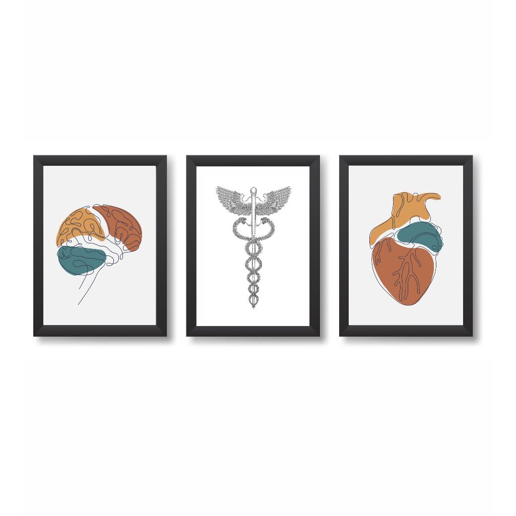 Kit 3 Quadros Decorativos Cérebro Símbolo de Medicina Coração Consultório Medicina Molduras 20x30cm Madeira