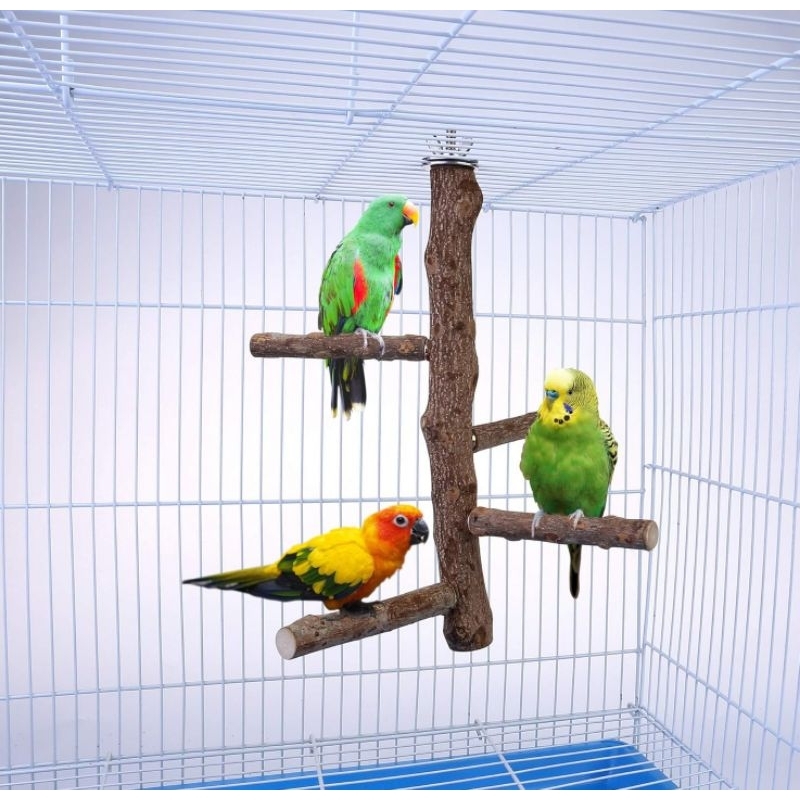 Poleiro para calopsita, periquito agapornis poleiro teto 4 galhos em Oferta na Shopee