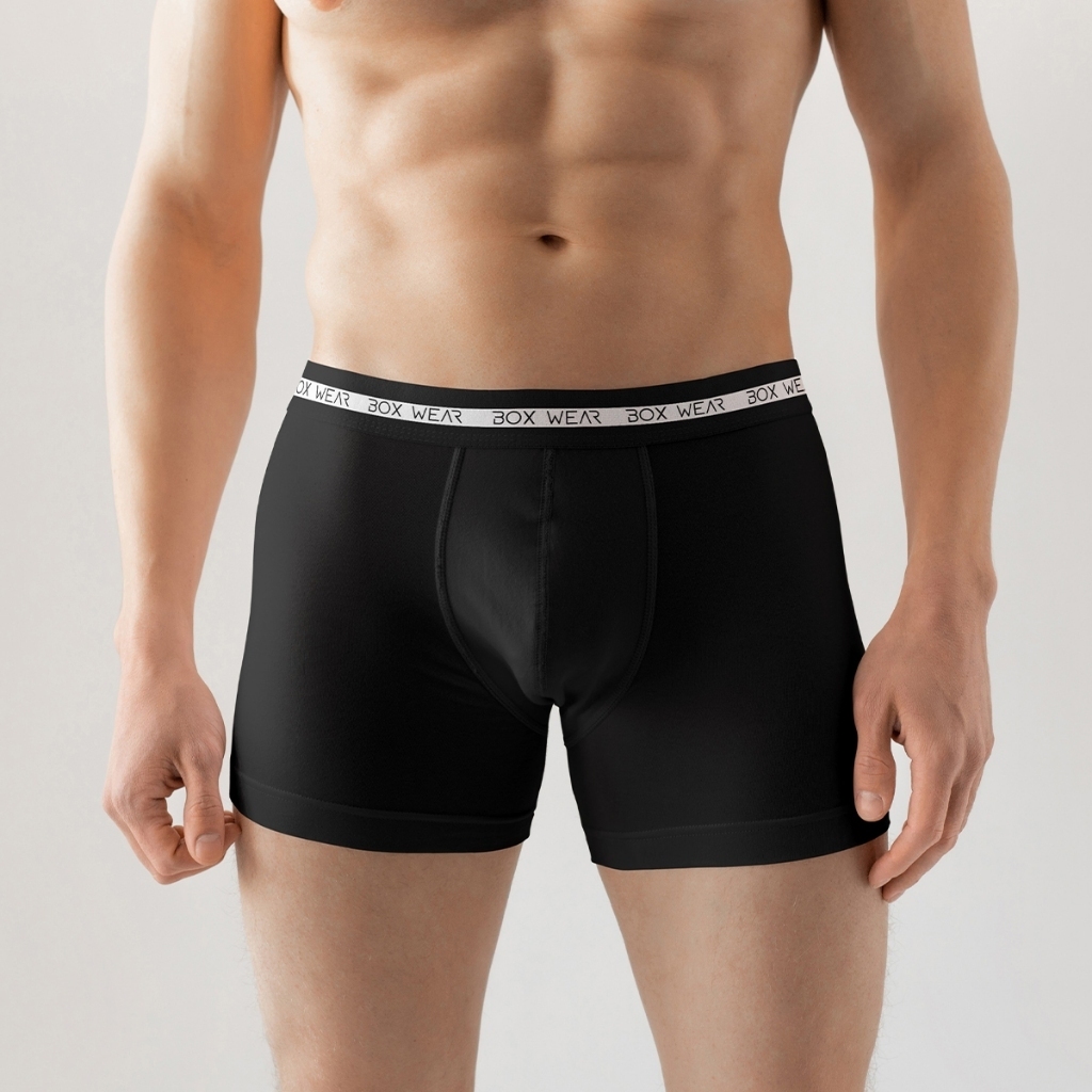 Kit 10 Cueca Boxer Masculina Microfibra Cueca Box Sem Costura Envio em 24h