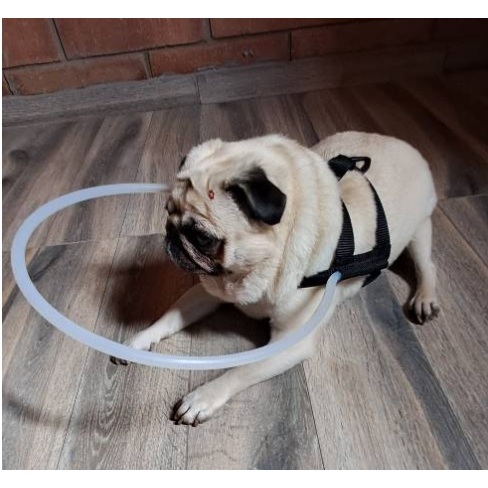 Coleiras para Cão-Cego Anticolisão(Não Amassa) Raças Pequenas e Médias. PRODUTO FEITO SOB MEDIDA