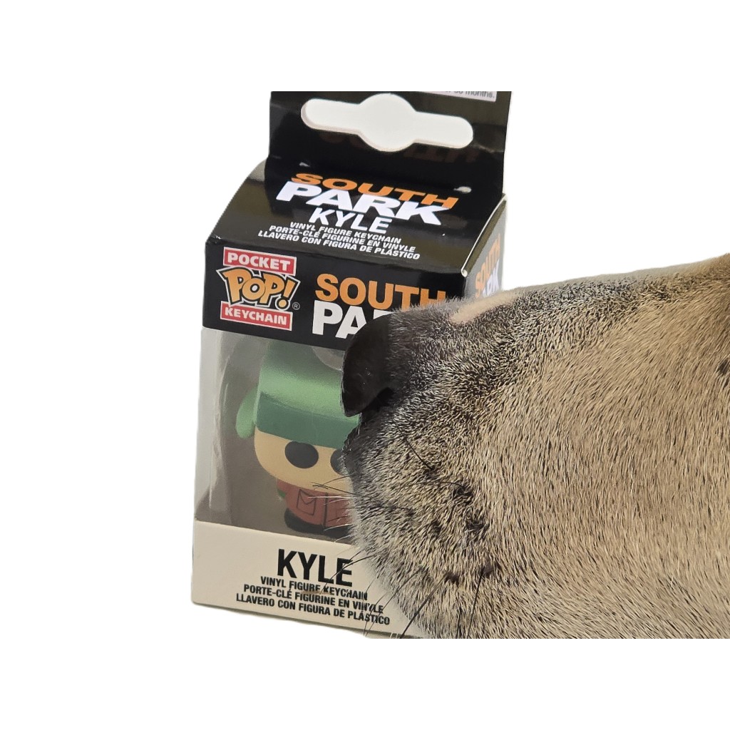 Chaveiro Pop Pocket Keychain Kyle Broflovski south Park Funko South Park In Box Pocket Pop Key