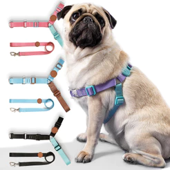 Conjunto Coleira Com Guia Antipuxão Adestramento Kit Premium Toh Pet Para de Cães Cachorros