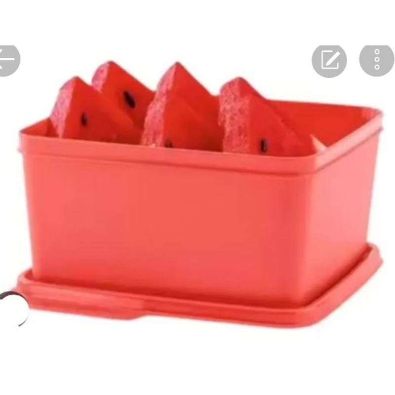 Basic LINE tupperware de 2.5 Litros