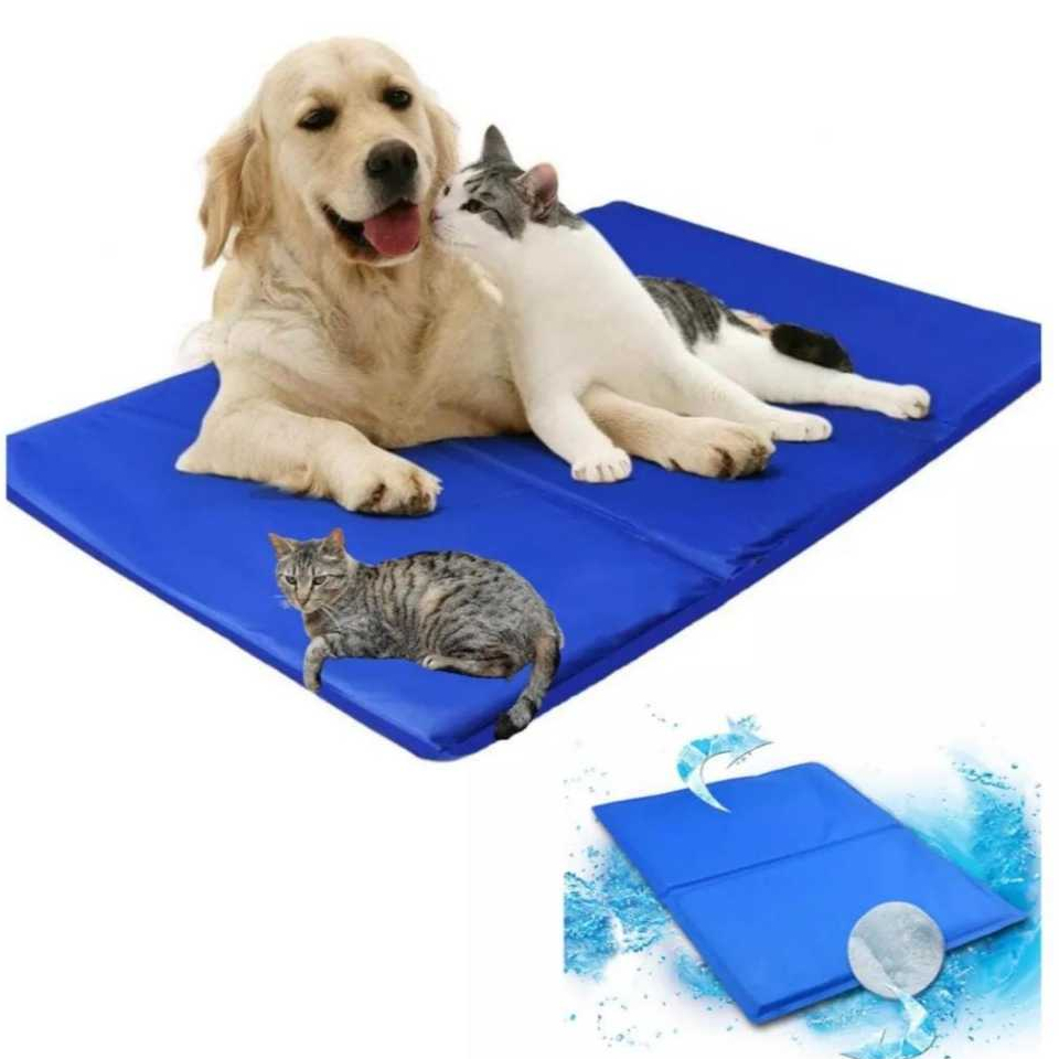 Tapete Refrescante Pet Cachorro Cães Gatos Gelado 40X50 cm - Envio Imediato - em Oferta na Shopee
