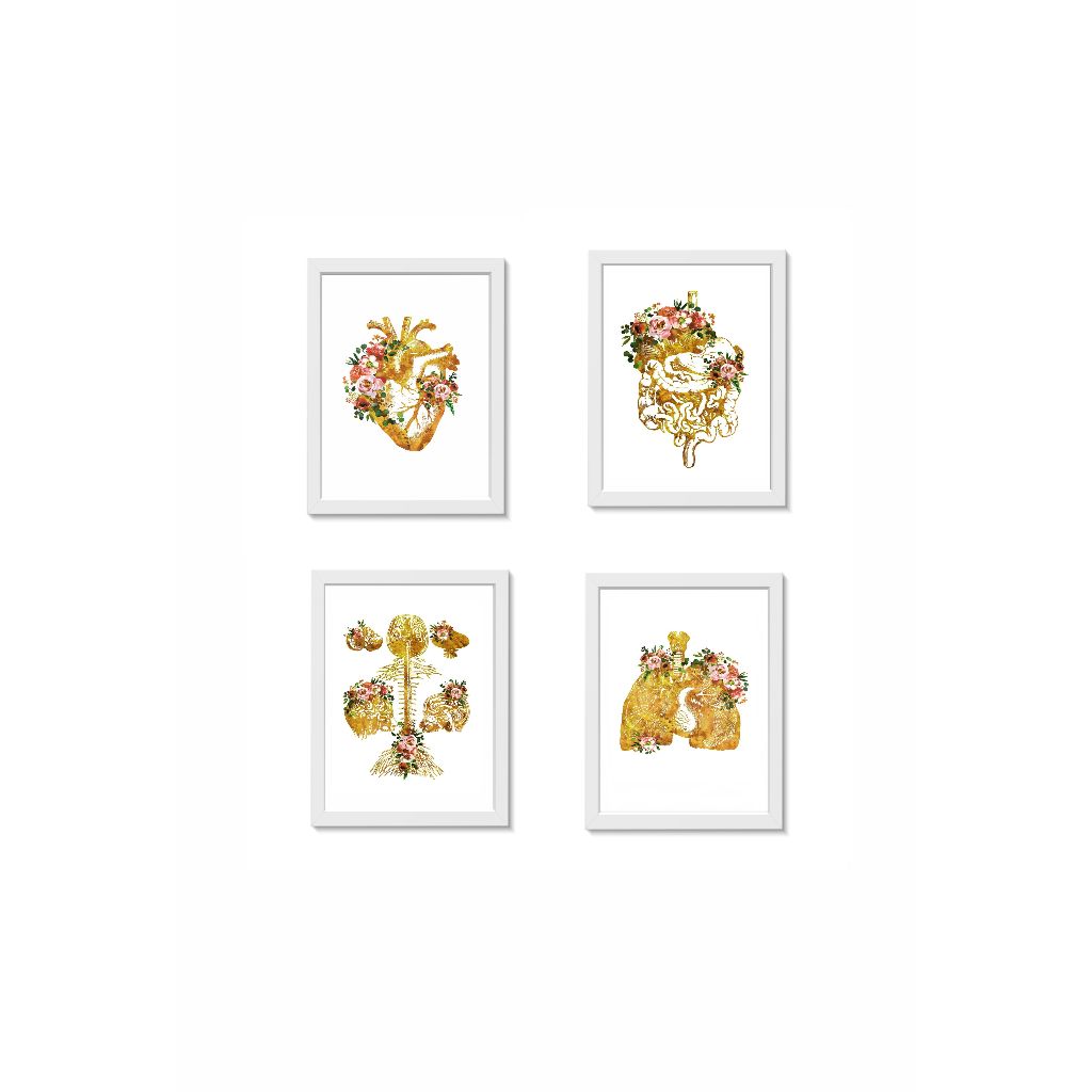 Kit 4 Quadros Coração Sistema Digestivo Cérebro Pulmão Dourados Molduras 20x30cm Madeira Vidro Cor Brancas