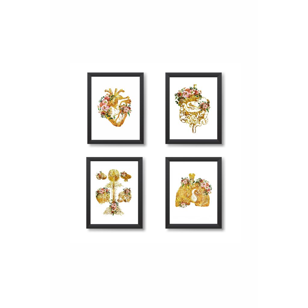 Kit 4 Quadros Decorativos Coração Sistema Digestivo Cérebro Pulmão Molduras 20x30cm Madeira Vidro