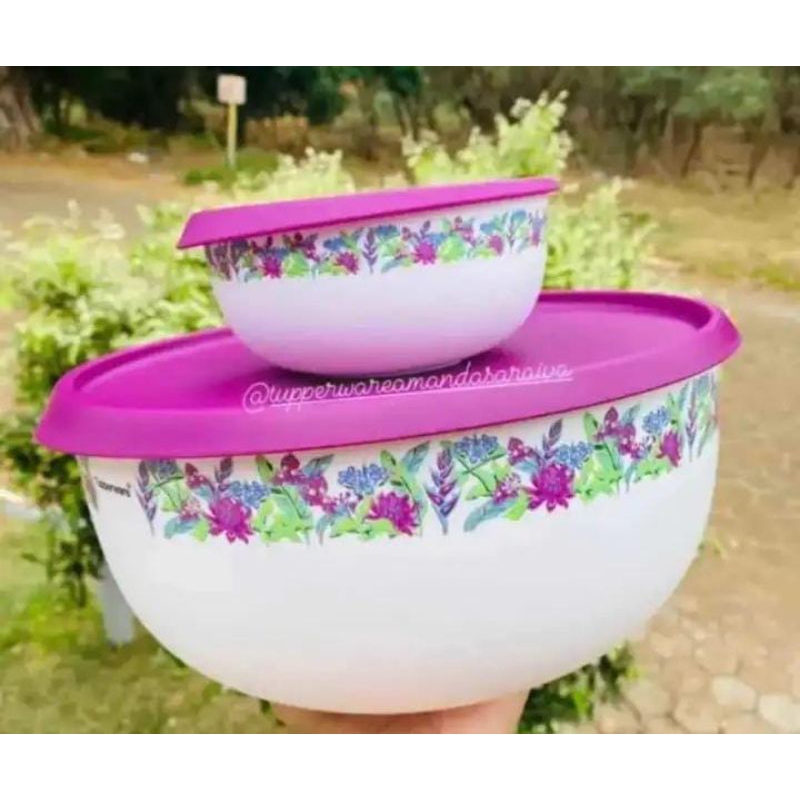 Kit 2 peças Tigela toque mágico Beija Flor Tupperware.
