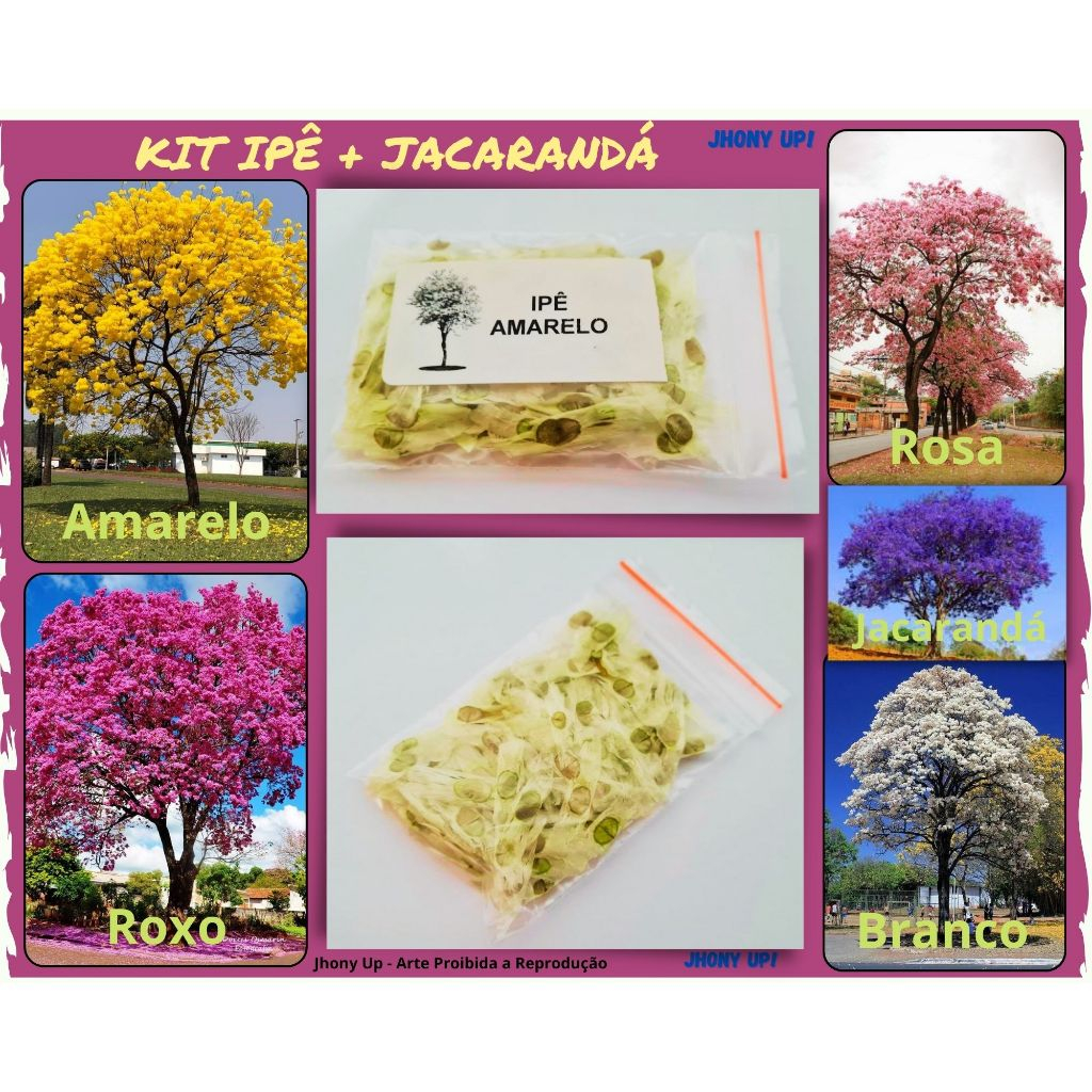 Kit Sementes Ipê Amarelo Branco Roxo Rosa +Jacarandá - jardim ipe
