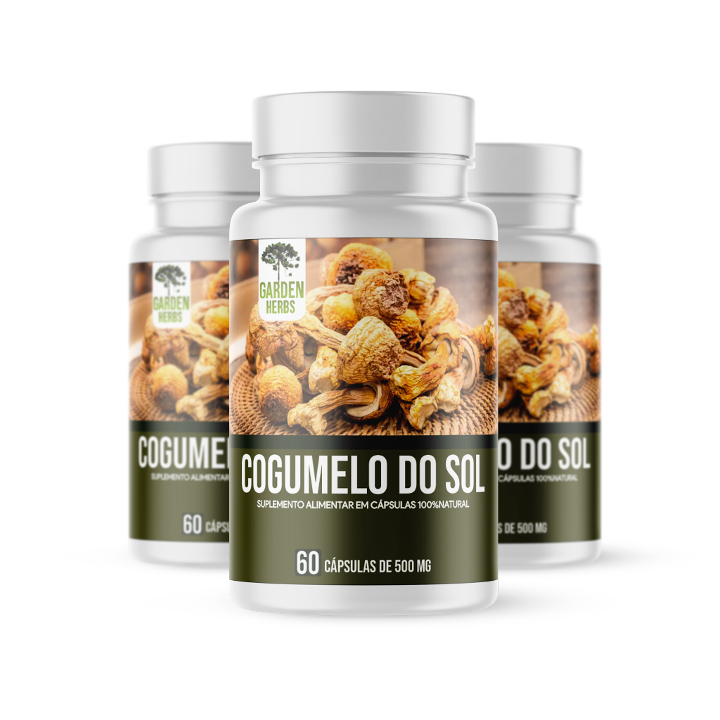 Kit 3 Frascos - Cogumelo do Sol ( Agaricus Blazei ) 500 Mg - 60 cápsulas