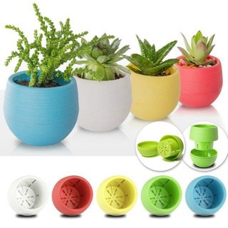 Kit 10un Mini Vaso Babyball Sortido para Suculentas Vaso Decorativo Autoirrigável