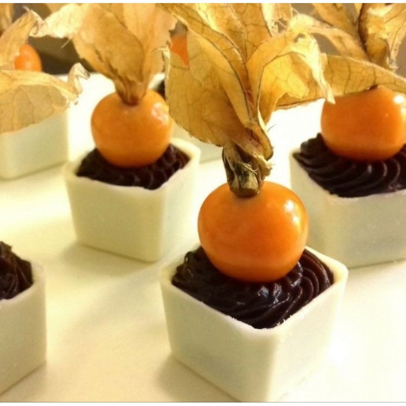 copinhos de chocolate QUADRADO BAIXO para doces finos e eventos em Oferta na Shopee