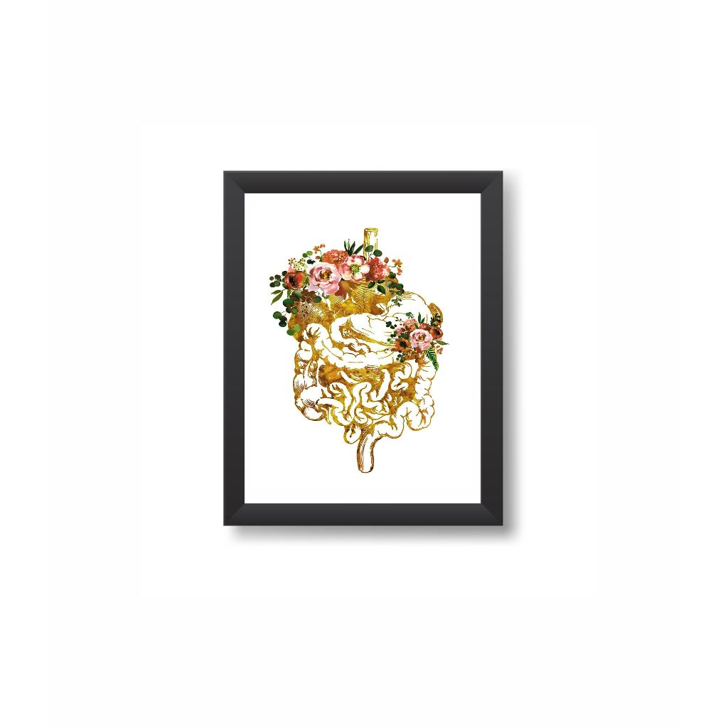 Quadro Decoartivo Sistema Digestivo Dourado Moldura 20x30cm Madeira Vidro Cor Preta