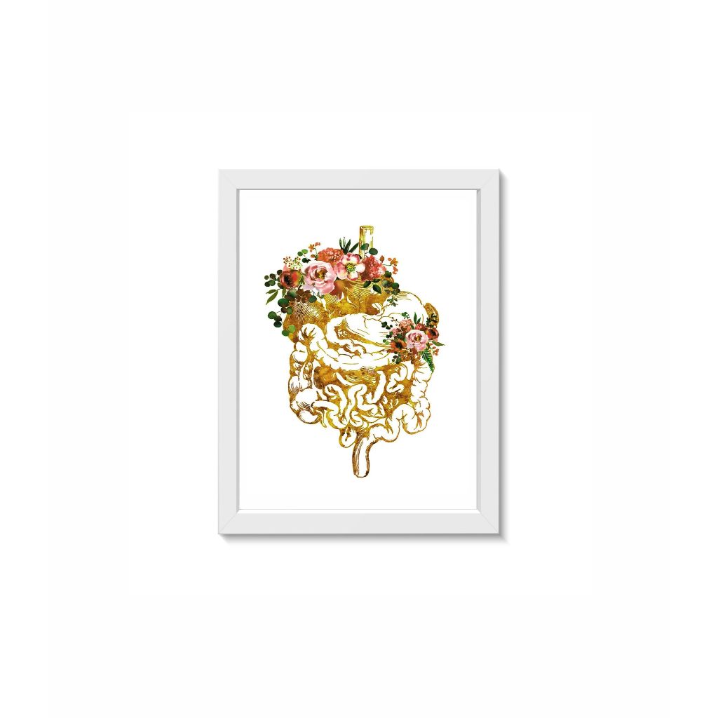 Quadro Decorativo Sistema Digestivo Dourado com Flores Tamanho 20x30cm Moldura Madeira Vidro Branca